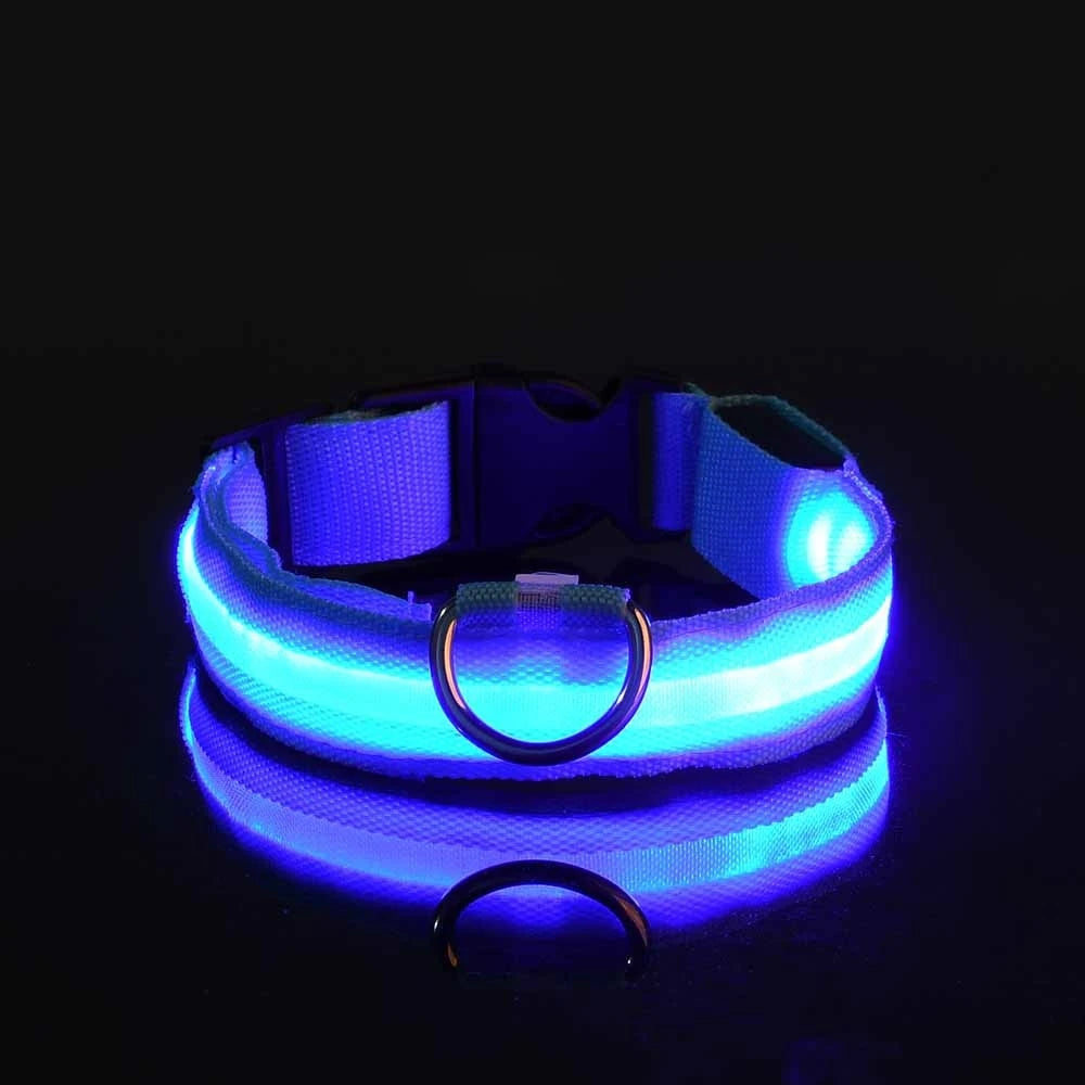 LED Night Safety Dog Leash