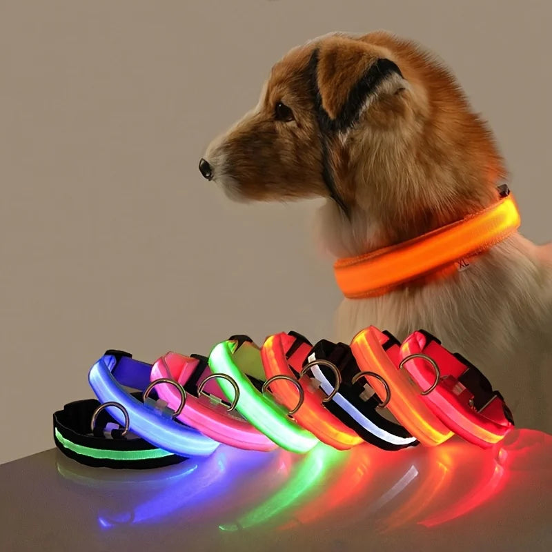 LED Night Safety Dog Leash