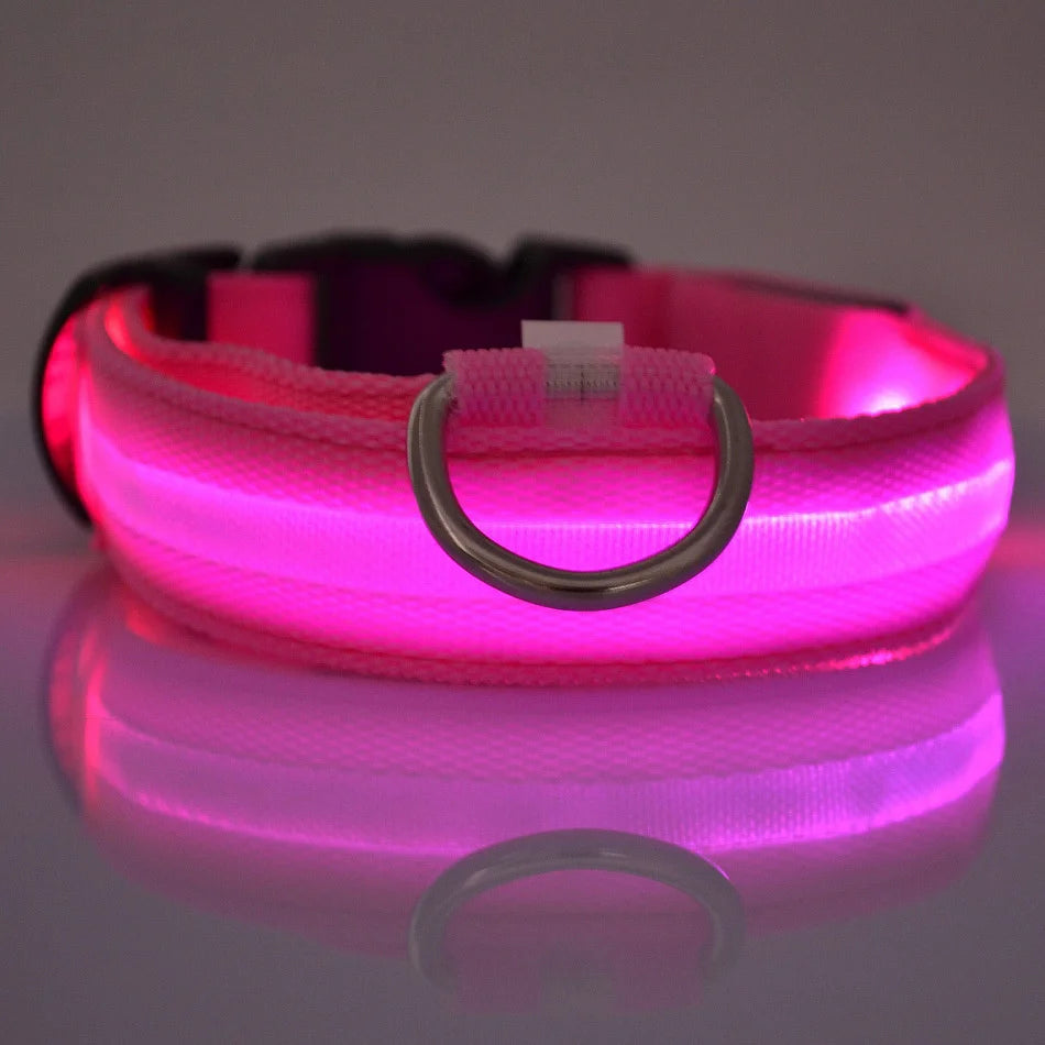 LED Night Safety Dog Leash