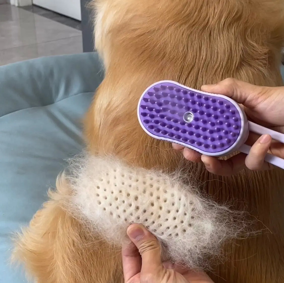 Pet Electric Spray Hair Removal