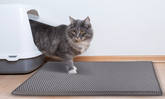 Pet Cat Litter Mat